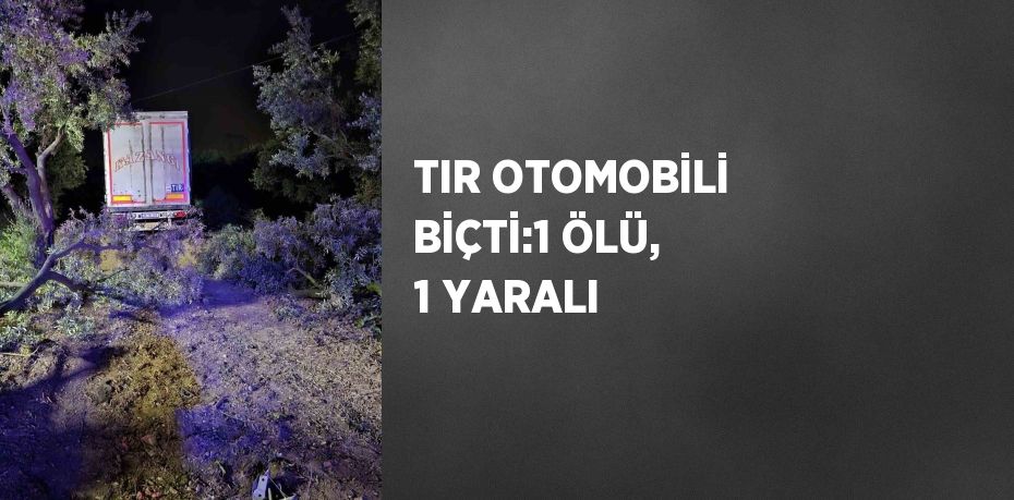 TIR OTOMOBİLİ BİÇTİ:1 ÖLÜ, 1 YARALI