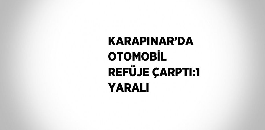 KARAPINAR’DA OTOMOBİL REFÜJE ÇARPTI:1 YARALI