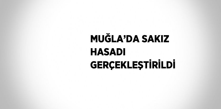 MUĞLA’DA SAKIZ HASADI GERÇEKLEŞTİRİLDİ