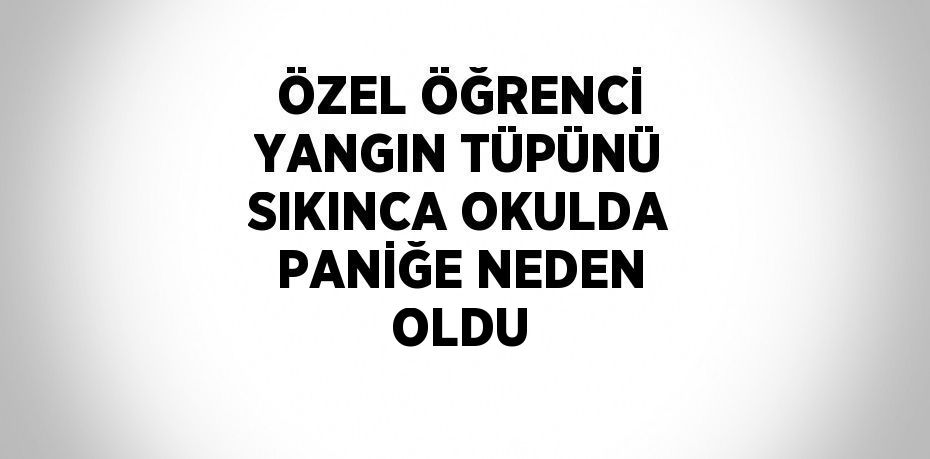 ÖZEL ÖĞRENCİ YANGIN TÜPÜNÜ SIKINCA OKULDA PANİĞE NEDEN OLDU