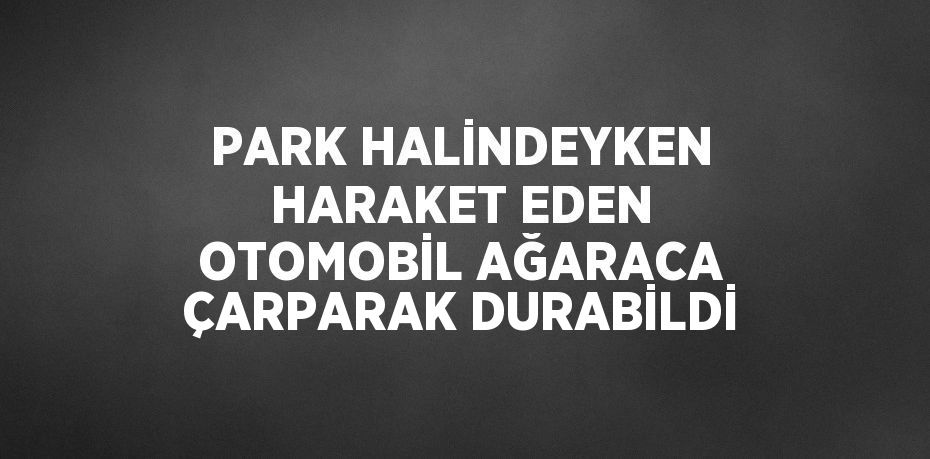 PARK HALİNDEYKEN HARAKET EDEN OTOMOBİL AĞARACA ÇARPARAK DURABİLDİ