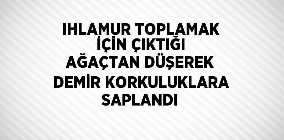 IHLAMUR TOPLAMAK İÇİN ÇIKTIĞI AĞAÇTAN DÜŞEREK DEMİR KORKULUKLARA SAPLANDI