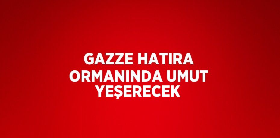 GAZZE HATIRA ORMANINDA UMUT YEŞERECEK