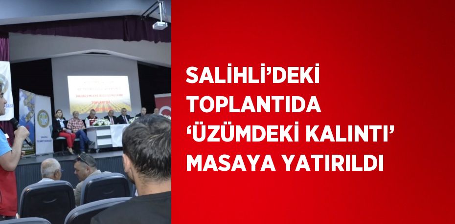 SALİHLİ’DEKİ TOPLANTIDA ‘ÜZÜMDEKİ KALINTI’ MASAYA YATIRILDI