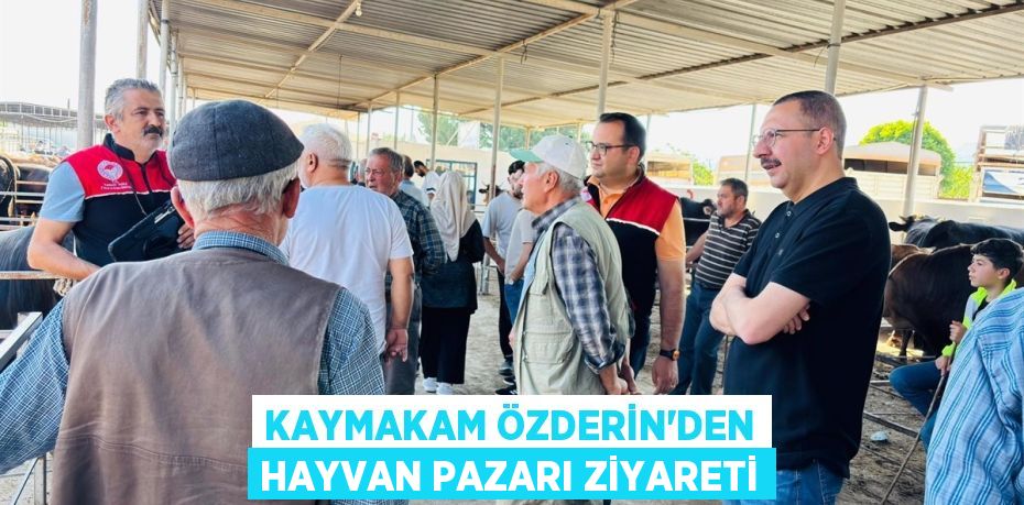 KAYMAKAM ÖZDERİN’DEN HAYVAN PAZARI ZİYARETİ