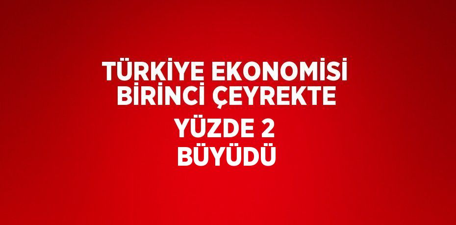 TÜRKİYE EKONOMİSİ BİRİNCİ ÇEYREKTE YÜZDE 2 BÜYÜDÜ