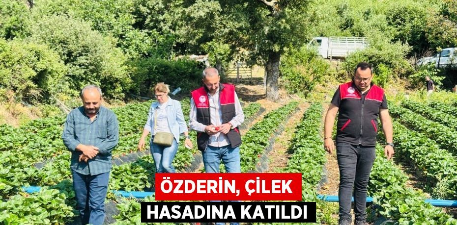 ÖZDERİN, ÇİLEK HASADINA KATILDI
