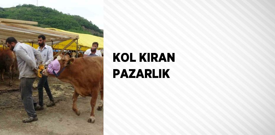 KOL KIRAN PAZARLIK
