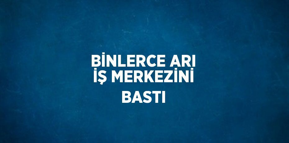 BİNLERCE ARI İŞ MERKEZİNİ BASTI