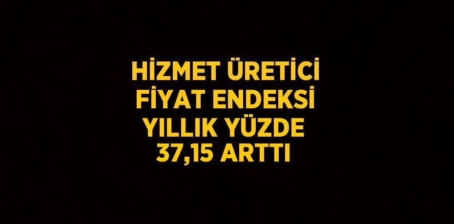 HİZMET ÜRETİCİ FİYAT ENDEKSİ YILLIK YÜZDE 37,15 ARTTI