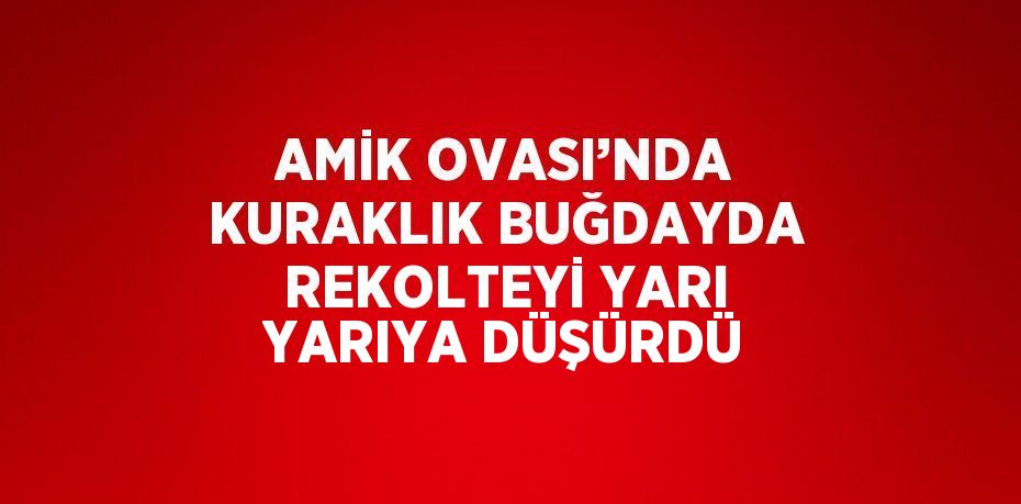 AMİK OVASI’NDA KURAKLIK BUĞDAYDA REKOLTEYİ YARI YARIYA DÜŞÜRDÜ
