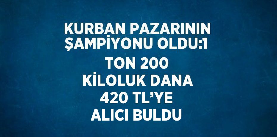 KURBAN PAZARININ ŞAMPİYONU OLDU:1 TON 200 KİLOLUK DANA 420 TL’YE ALICI BULDU