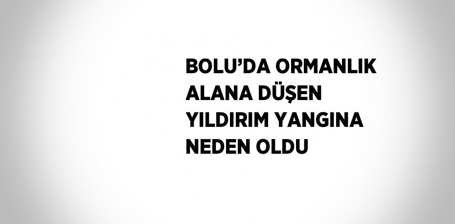 BOLU’DA ORMANLIK ALANA DÜŞEN YILDIRIM YANGINA NEDEN OLDU