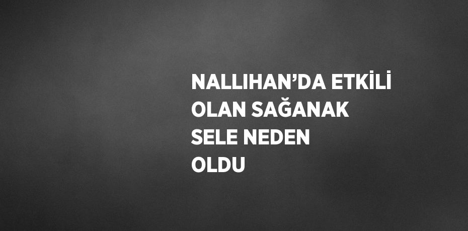 NALLIHAN’DA ETKİLİ OLAN SAĞANAK SELE NEDEN OLDU