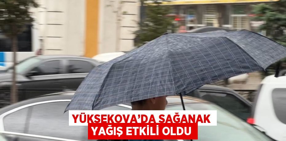 YÜKSEKOVA’DA SAĞANAK YAĞIŞ ETKİLİ OLDU