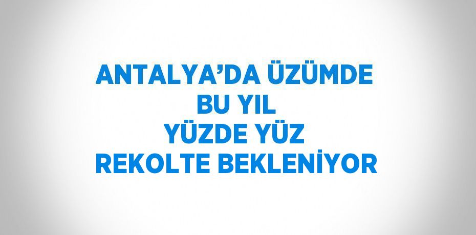 ANTALYA’DA ÜZÜMDE BU YIL YÜZDE YÜZ REKOLTE BEKLENİYOR