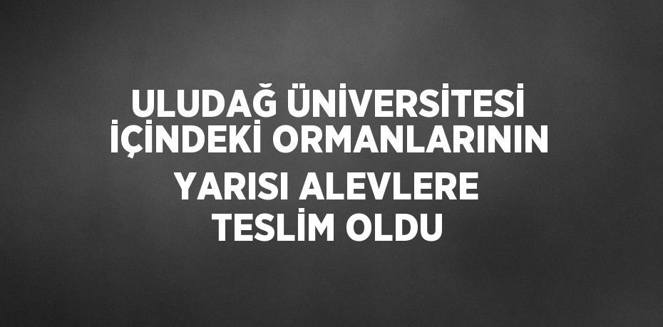 ULUDAĞ ÜNİVERSİTESİ İÇİNDEKİ ORMANLARININ YARISI ALEVLERE TESLİM OLDU