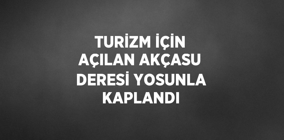 TURİZM İÇİN AÇILAN AKÇASU DERESİ YOSUNLA KAPLANDI