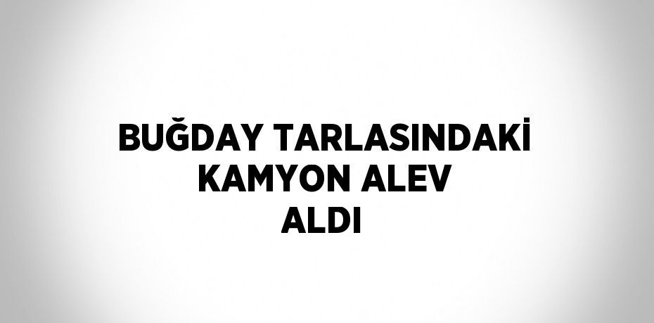 BUĞDAY TARLASINDAKİ KAMYON ALEV ALDI