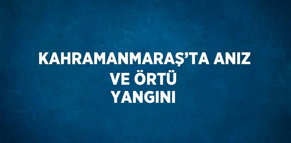 KAHRAMANMARAŞ’TA ANIZ VE ÖRTÜ YANGINI