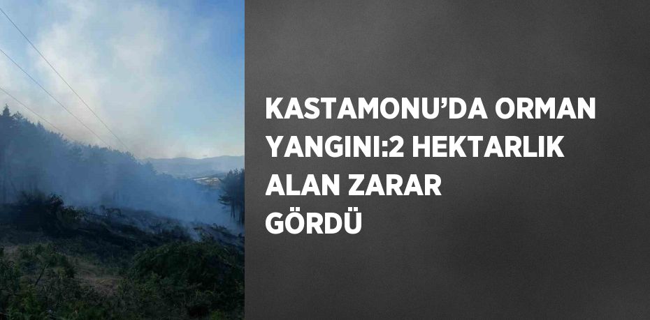 KASTAMONU’DA ORMAN YANGINI:2 HEKTARLIK ALAN ZARAR GÖRDÜ