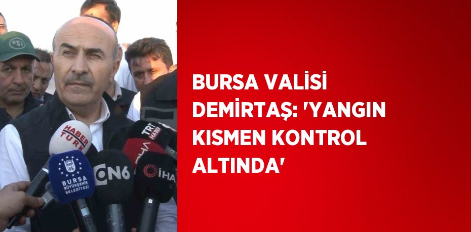 BURSA VALİSİ DEMİRTAŞ: 'YANGIN KISMEN KONTROL ALTINDA'