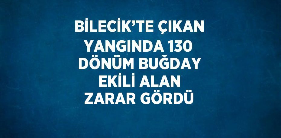 BİLECİK’TE ÇIKAN YANGINDA 130 DÖNÜM BUĞDAY EKİLİ ALAN ZARAR GÖRDÜ