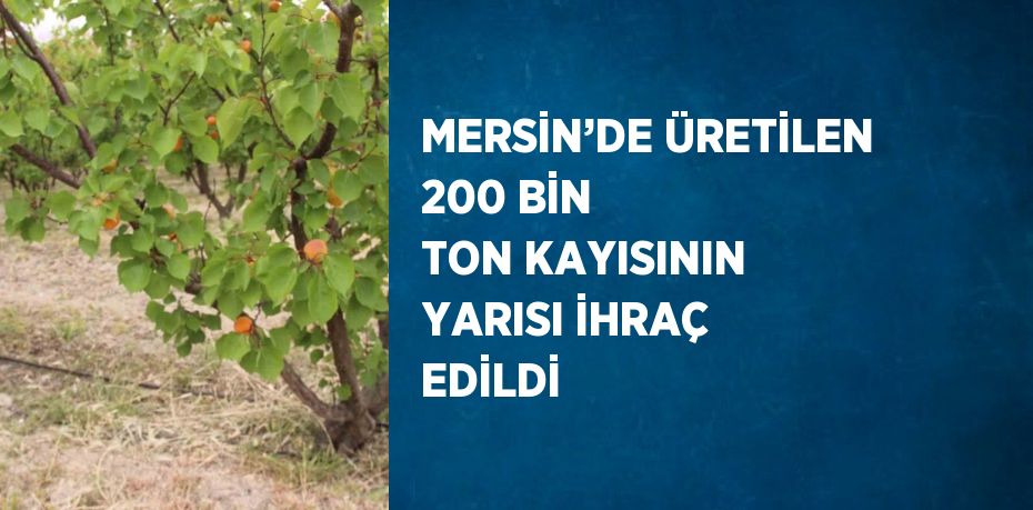 MERSİN’DE ÜRETİLEN 200 BİN TON KAYISININ YARISI İHRAÇ EDİLDİ