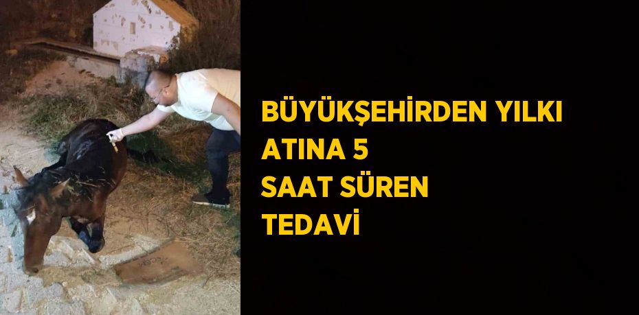 BÜYÜKŞEHİRDEN YILKI ATINA 5 SAAT SÜREN TEDAVİ