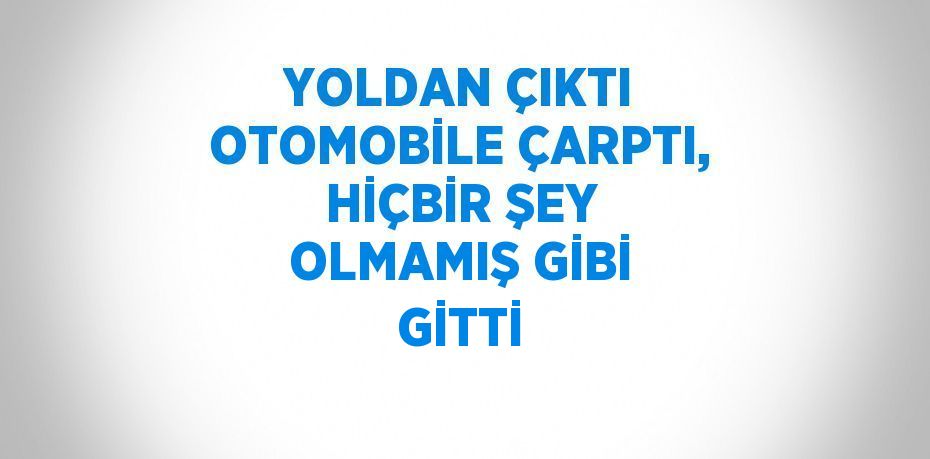 YOLDAN ÇIKTI OTOMOBİLE ÇARPTI, HİÇBİR ŞEY OLMAMIŞ GİBİ GİTTİ