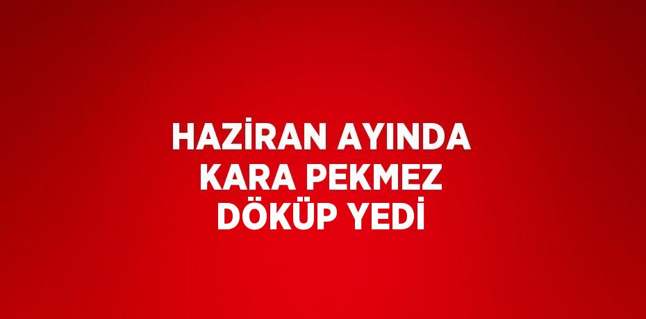 HAZİRAN AYINDA KARA PEKMEZ DÖKÜP YEDİ