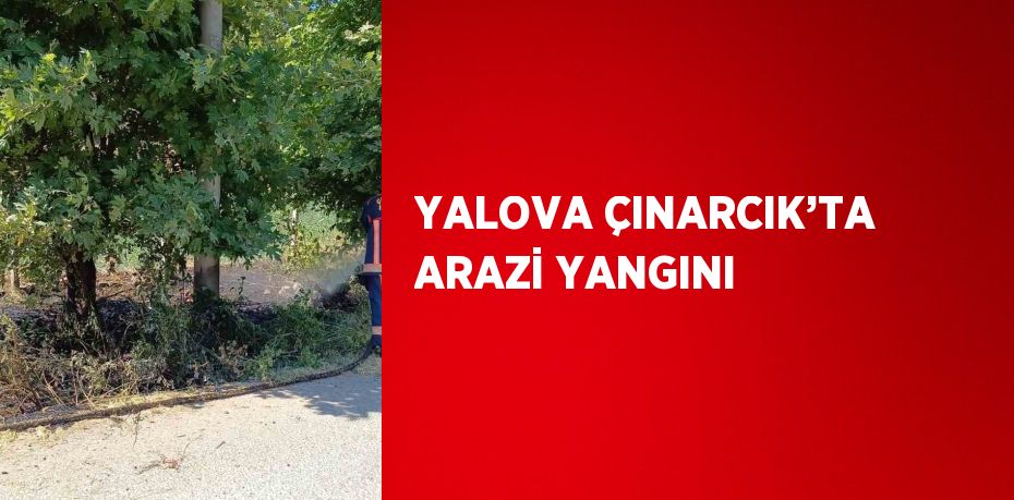 YALOVA ÇINARCIK’TA ARAZİ YANGINI