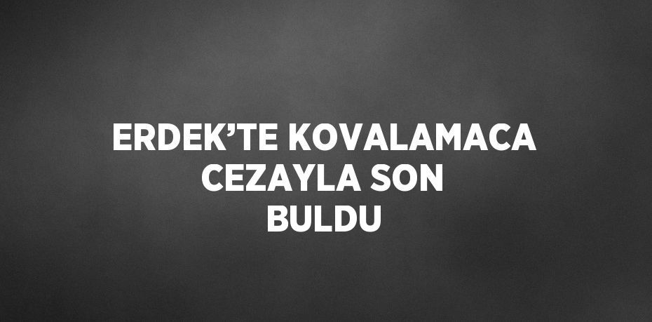 ERDEK’TE KOVALAMACA CEZAYLA SON BULDU