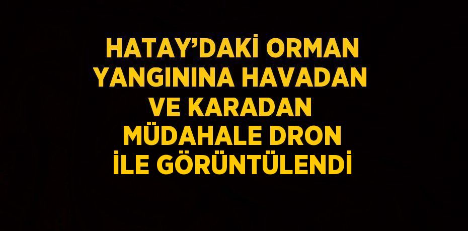 HATAY’DAKİ ORMAN YANGININA HAVADAN VE KARADAN MÜDAHALE DRON İLE GÖRÜNTÜLENDİ