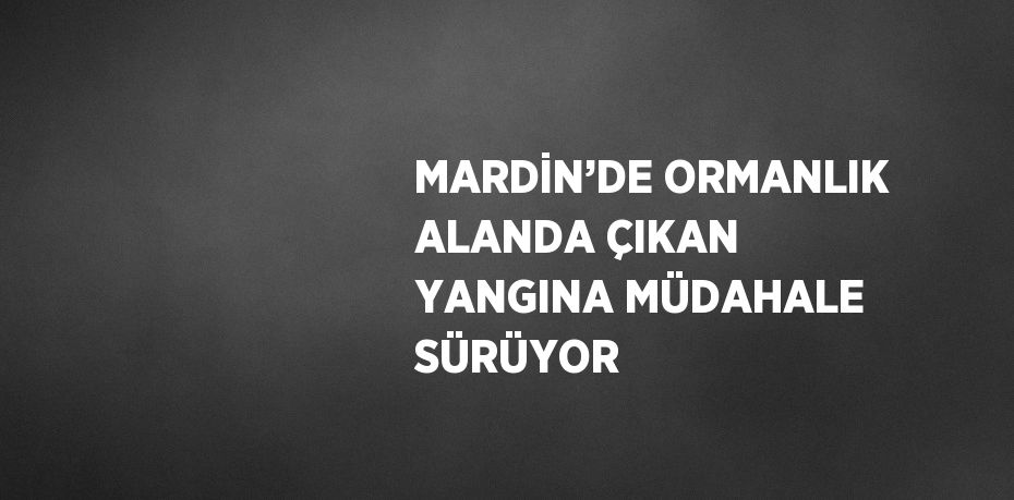 MARDİN’DE ORMANLIK ALANDA ÇIKAN YANGINA MÜDAHALE SÜRÜYOR