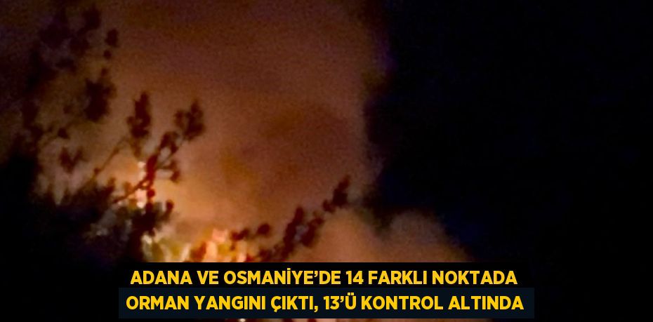 ADANA VE OSMANİYE’DE 14 FARKLI NOKTADA ORMAN YANGINI ÇIKTI, 13’Ü KONTROL ALTINDA