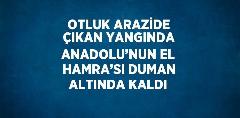 OTLUK ARAZİDE ÇIKAN YANGINDA ANADOLU’NUN EL HAMRA’SI DUMAN ALTINDA KALDI