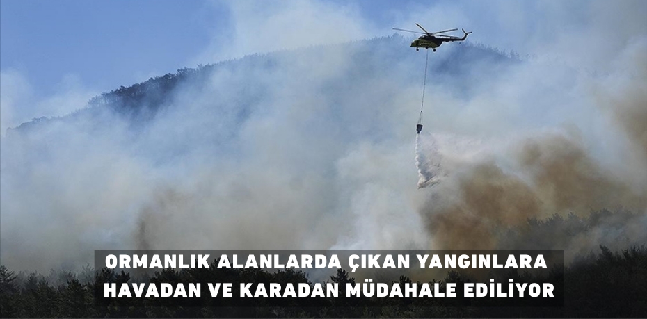 ORMANLIK ALANLARDA ÇIKAN YANGINLARA HAVADAN VE KARADAN MÜDAHALE EDİLİYOR