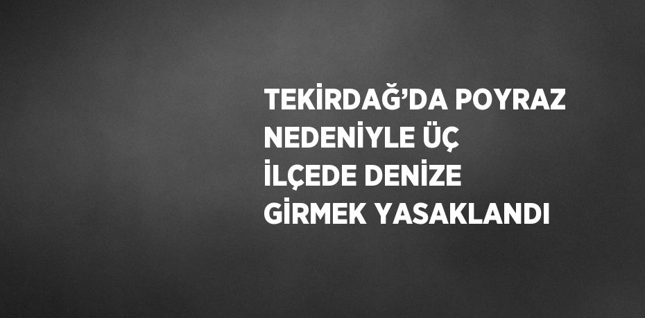 TEKİRDAĞ’DA POYRAZ NEDENİYLE ÜÇ İLÇEDE DENİZE GİRMEK YASAKLANDI