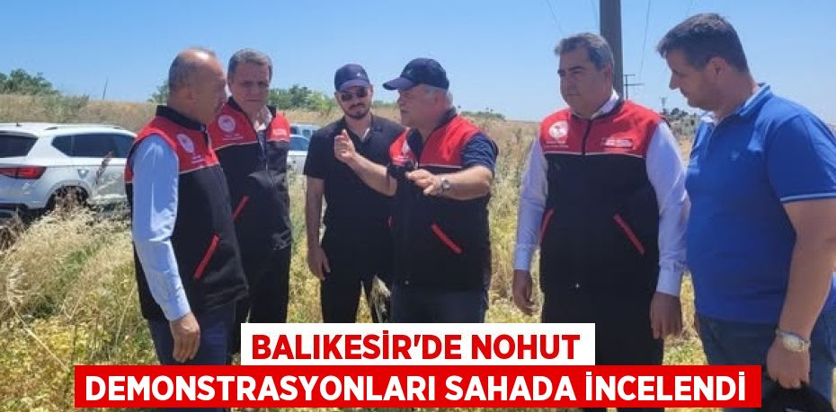 Balıkesir’de Nohut Demonstrasyonları Sahada İncelendi
