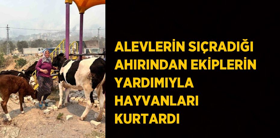 ALEVLERİN SIÇRADIĞI AHIRINDAN EKİPLERİN YARDIMIYLA HAYVANLARI KURTARDI