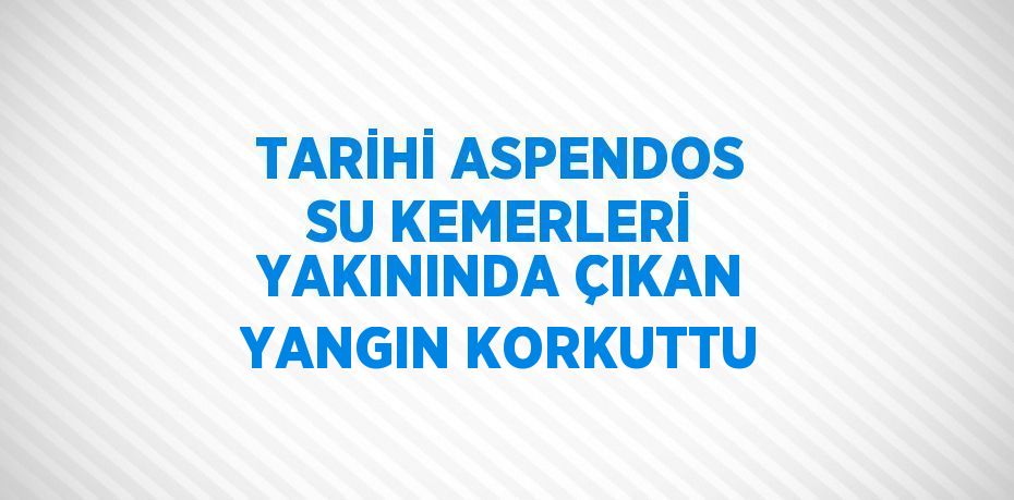 TARİHİ ASPENDOS SU KEMERLERİ YAKININDA ÇIKAN YANGIN KORKUTTU