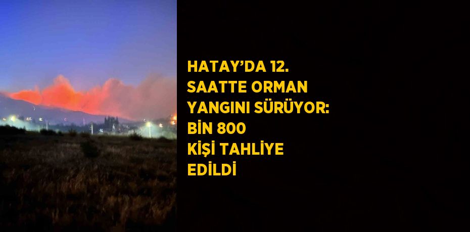 HATAY’DA 12. SAATTE ORMAN YANGINI SÜRÜYOR: BİN 800 KİŞİ TAHLİYE EDİLDİ