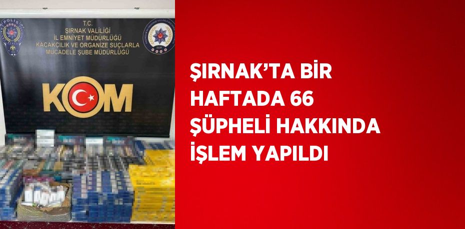 ŞIRNAK’TA BİR HAFTADA 66 ŞÜPHELİ HAKKINDA İŞLEM YAPILDI