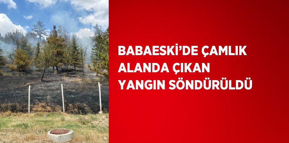 BABAESKİ’DE ÇAMLIK ALANDA ÇIKAN YANGIN SÖNDÜRÜLDÜ