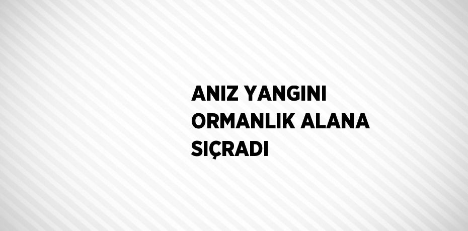ANIZ YANGINI ORMANLIK ALANA SIÇRADI