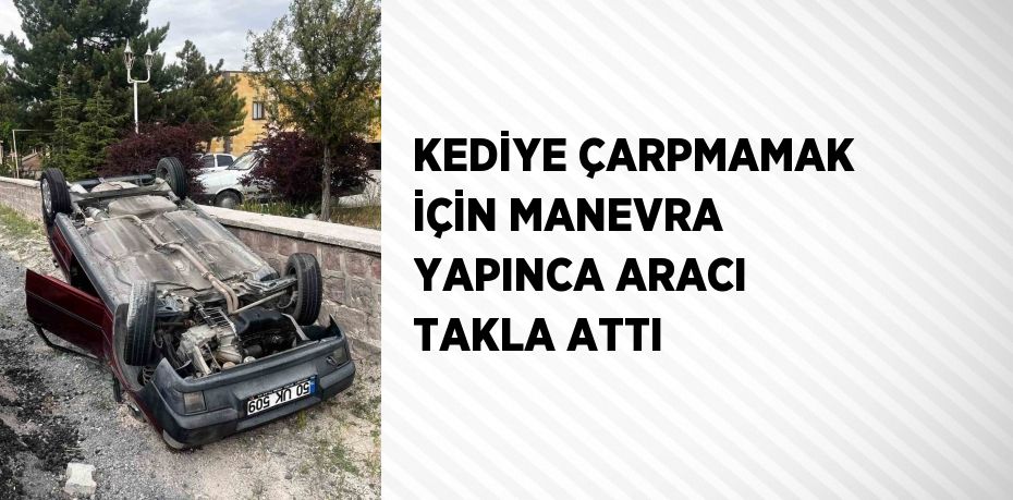 KEDİYE ÇARPMAMAK İÇİN MANEVRA YAPINCA ARACI TAKLA ATTI