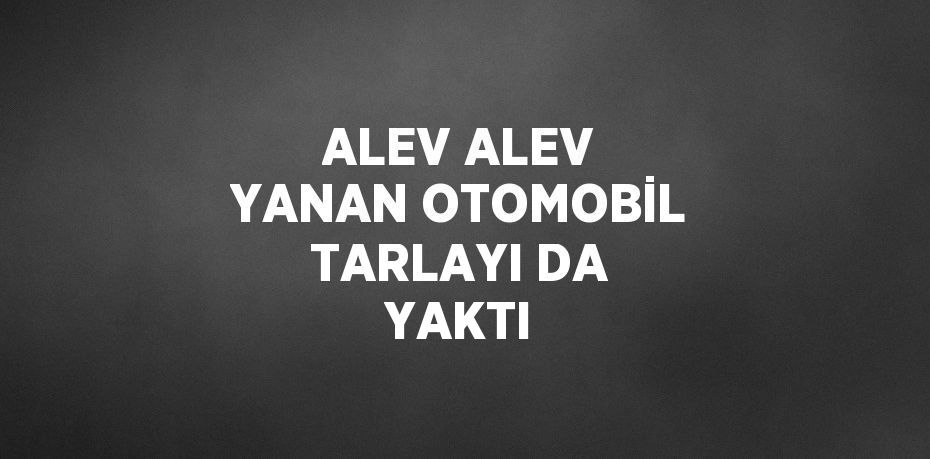 ALEV ALEV YANAN OTOMOBİL TARLAYI DA YAKTI