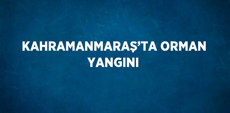 KAHRAMANMARAŞ’TA ORMAN YANGINI