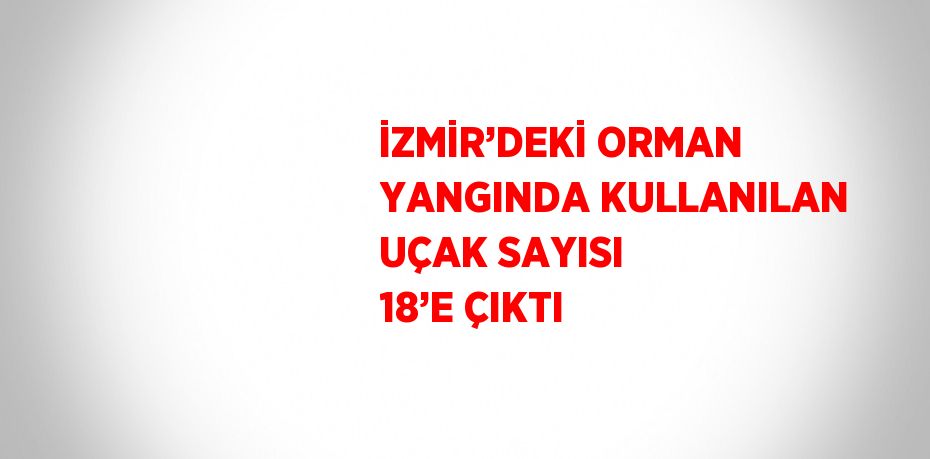İZMİR’DEKİ ORMAN YANGINDA KULLANILAN UÇAK SAYISI 18’E ÇIKTI